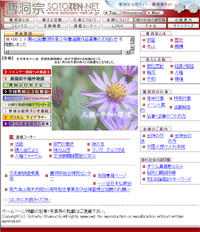 32bb9966.jpg