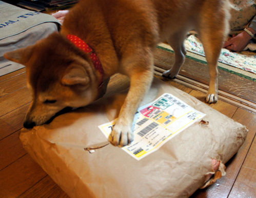 荷物だいすき