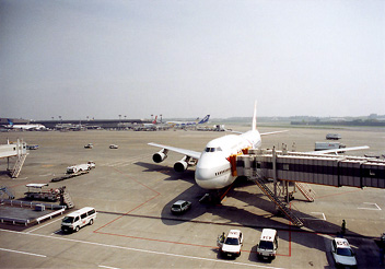 4931f73c.jpg