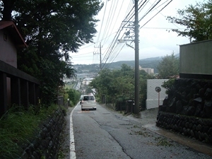 51639f51.jpg