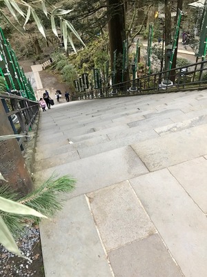 大雄山の階段
