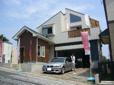575fce91.jpg