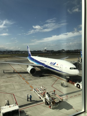 福岡 ANA