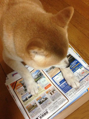 土地さがし