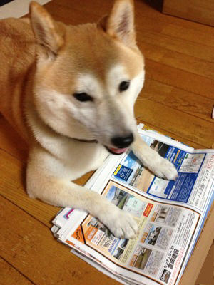 土地さがし2