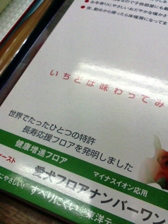 すべりにくい床