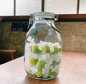 梅シロップをつくる！