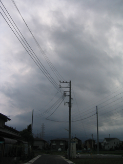 b08a1021.jpg