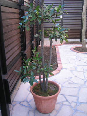 b801a308.jpg