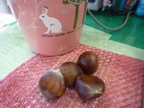 もらっちゃいました