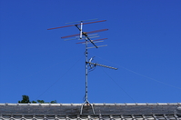d179e2d3.jpg