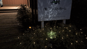 アシストホームのイルミネーション