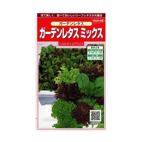 家庭菜園 プランター