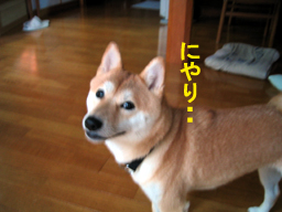 d91a618a.jpg