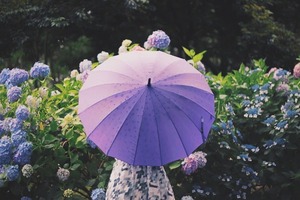 雨の日
