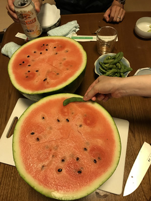 すいかひろった
