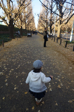 2012-12-16-3