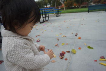 2012-11-20-4