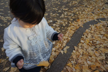 2012-12-16-2