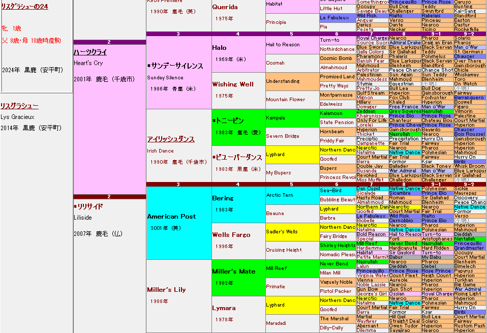 鯉*恋様 まねき馬倶楽部 30周年 未開封SP リスグラシュー 上鈴木正一リスグラシュー 2019有馬記念 | サラブレッドアート