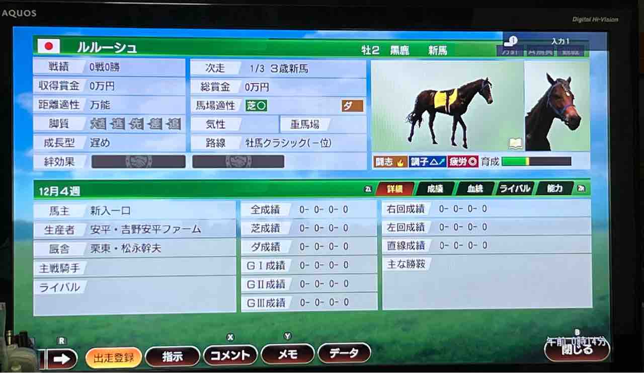 暗黒時代は続くよ どこまでも ウイポで一口馬主流縛りプレイ 5年目 09年 新入一口馬主の活動履歴