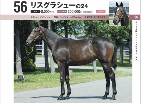 キャロット】勝手に募集馬見解 その20 リスグラシューの24