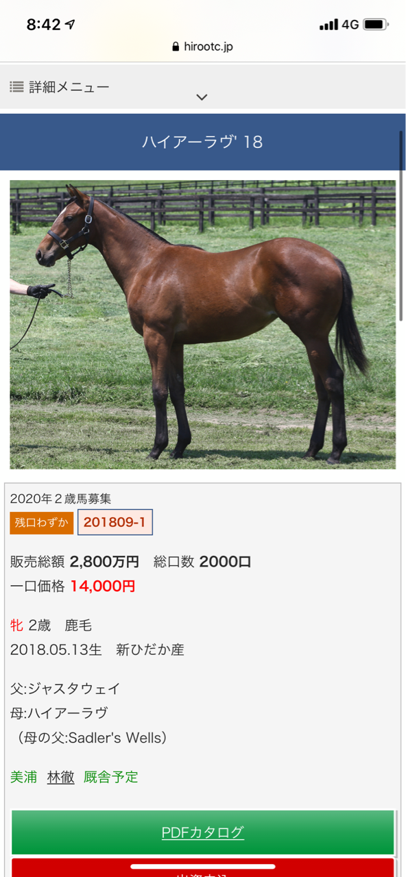 サラブレッド 広尾