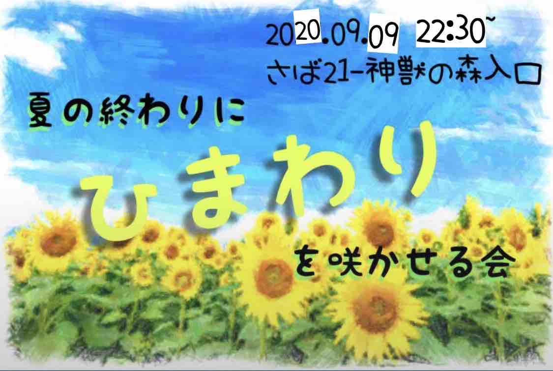 ひまわり アストルティア デラックス