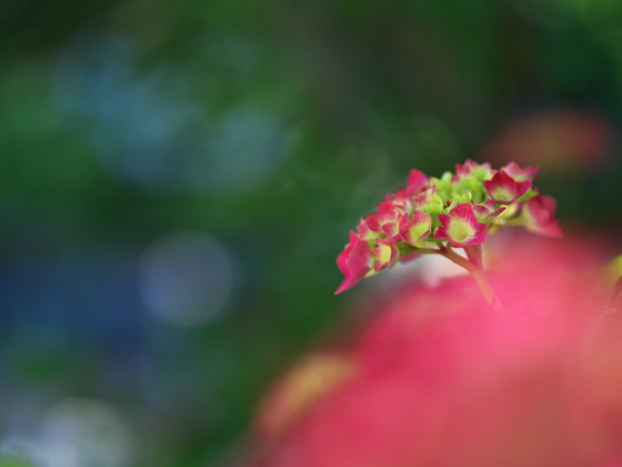 P6080447