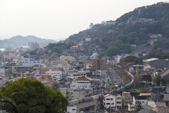 DSC00704