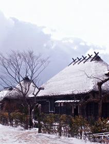 �ǲ���椷����׾�������ٱ�¹԰Ѱ�����