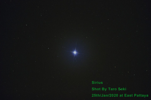 IMG_7454-Sirius