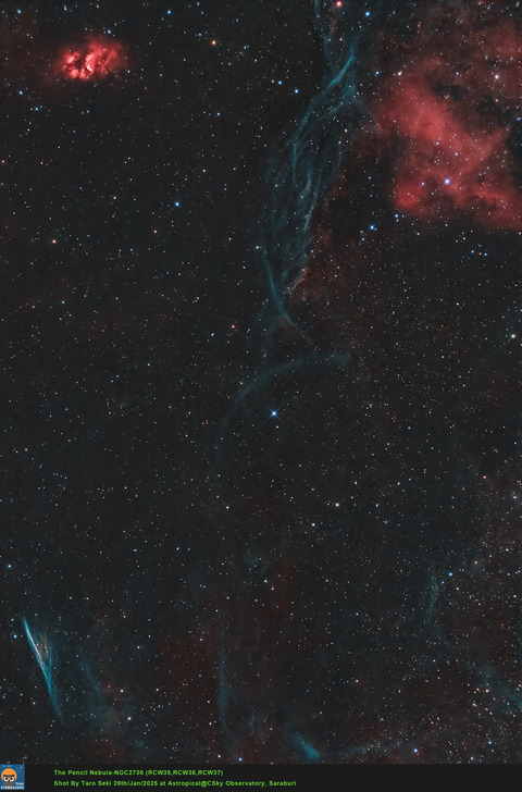 Penci_HOO_1_crop_ADBE_clone-Edit01-Finish