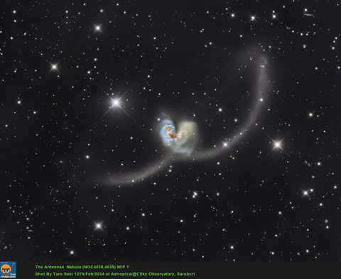 TestAntennae-RGB_1-crop-Edit01-Finish