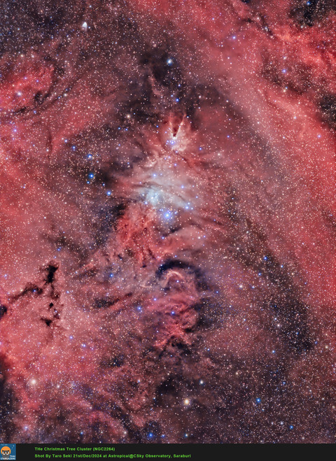 WMBNC-XmasTree_HOO_1_crop_xisf-Edit01-Finish