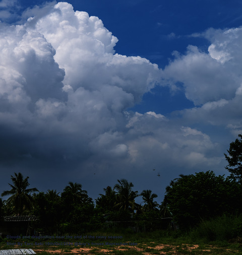 DSCF2940-Edit01-16-Finish