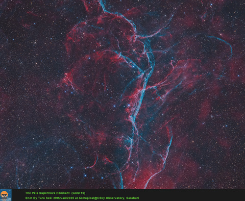 SNR_HOO_1_crop_ADBE-Edit01-FInish