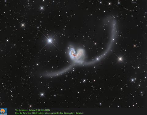 Antennae-RGB_1-crop-Edit01-Finish2