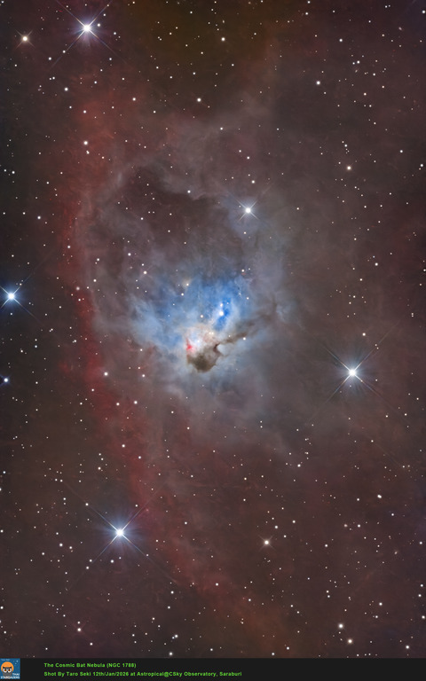 Cosmic_Bat_Nebula-NGC1788-RGB_1-crop-Edit01-FInish
