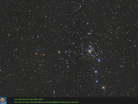 GreatBird_RGB_fin-Edit01-Finish