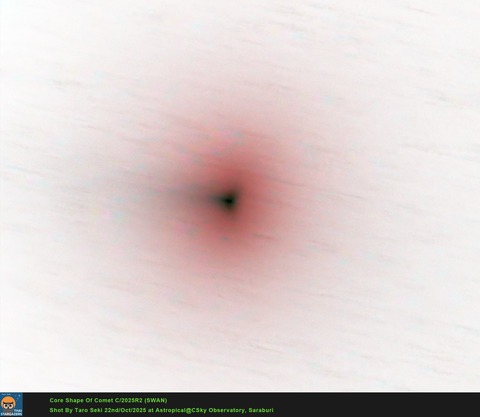 R2SwanNoSep3-1.5-RGB_1-crop-ColRev-Edit01-Finish