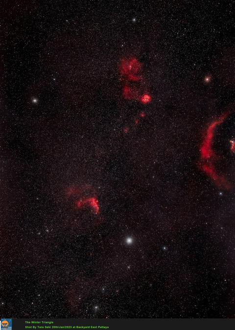 Monoce_LeNh_crop_BGE_ABE-Edit01-finish01