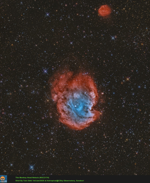 Monkey-HOO_1-crop-Edit01-Finish