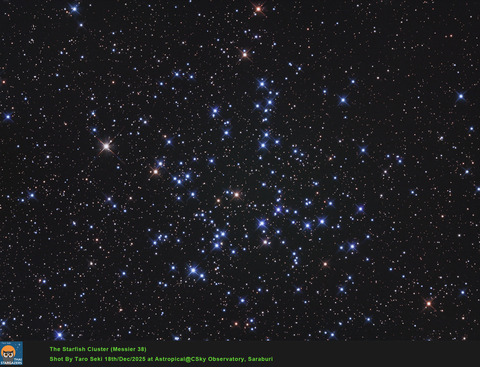 Starfish_Cluster-RGB_1-crop-Edit01-FInish2