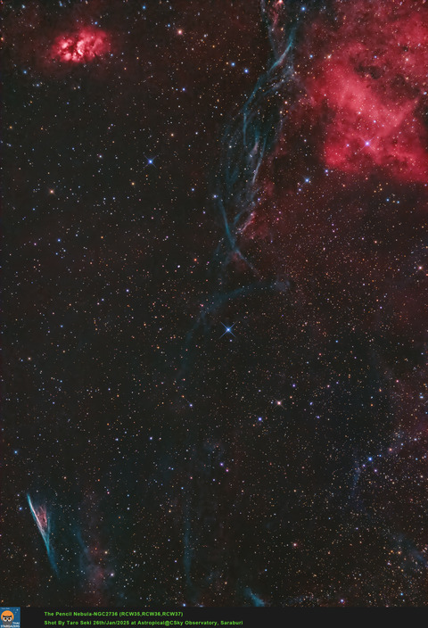 NewPenci_HOO_1_crop_ADBE_Oiii-Edit01-Finish