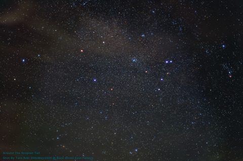 ScopionTail-RGB-crop-Edit01-Finish