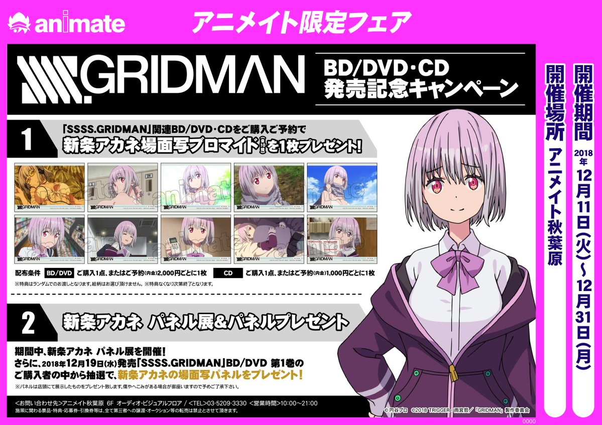 Ssss Gridman Dvd Cd発売記念キャンペーンをアニメイト秋葉原店にて 開催 フィギュア情報 Ssss Gridman Dvd Cd発売記念キャンペーンをアニメイト秋葉原店にて 開催 フィギュア情報