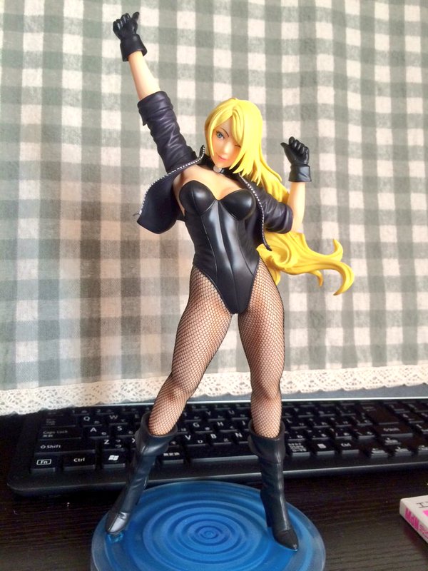 フィギュア情報                asty0720      『DC COMICS美少女』コトブキヤ「ブラックキャナリー 1/7スケールフィギュア」健康的な筋肉の造形と塗装でタイツ越しでも伝わってくる強度…好き。レビューコメントコメントする