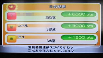 のんびりファミリーフィッシング 13 トゥマン パラダイスビーチ ウキ釣り大会 どうぶつの森 と過ごす日々