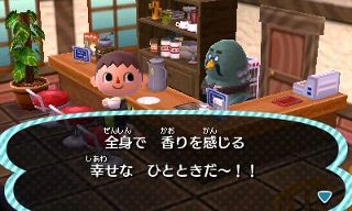 とびだせ どうぶつの森 プレイ日記 ２０ どうぶつの森 と過ごす日々